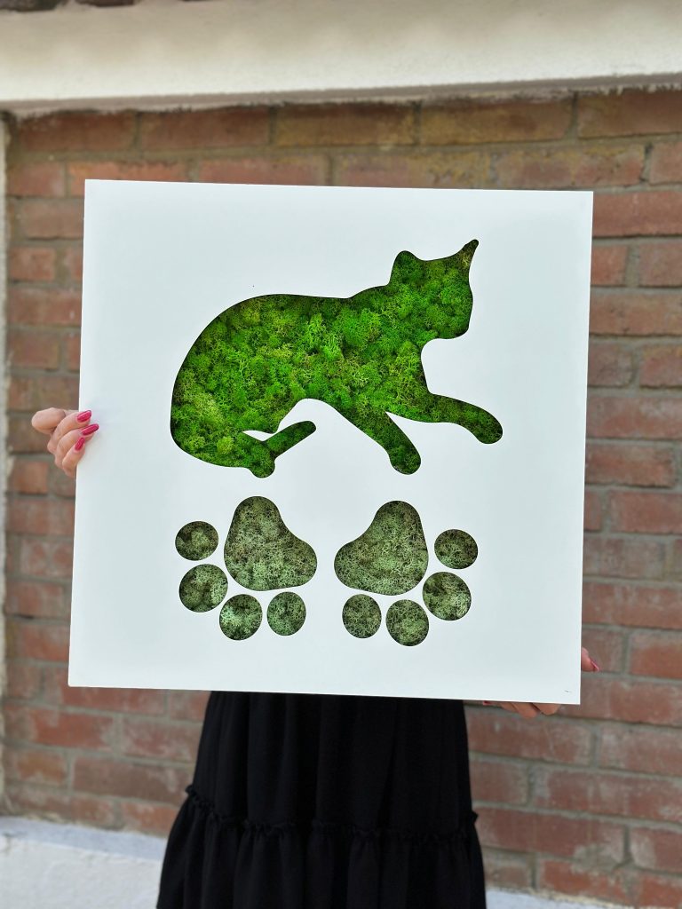 Tablou Licheni „Gatto”
