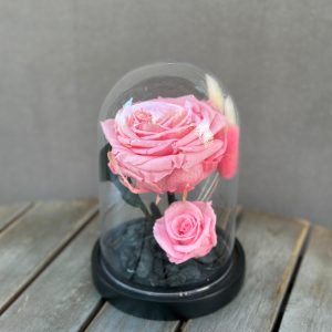 Trandafir Criogenat „Cherry Blossom”