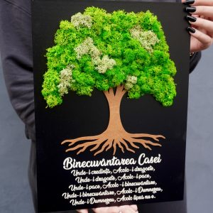 Tablou Licheni „Binecuvântarea Casei”