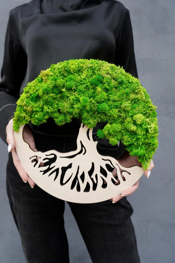 Tablou Licheni „Arborele”